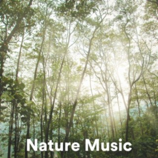 Nature Music