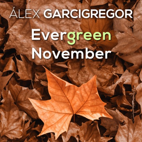 Evergreen November | Boomplay Music