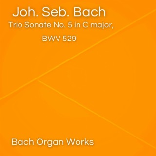 Trio Sonate No. 5 in C major, BWV 529 (Johann Sebastian Bach, Epic Organ, Classic)