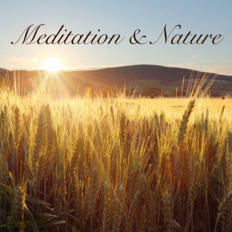 Flute Meditation - Instrumental Music & Sounds of Nature | Boomplay Music