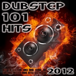 Dubstep 101 Hits 2012 (Best Top Electronic Dance Music, Reggae, Dub, Hard Dance, Bro Step, Grime, Glitch, Electro, Rave)