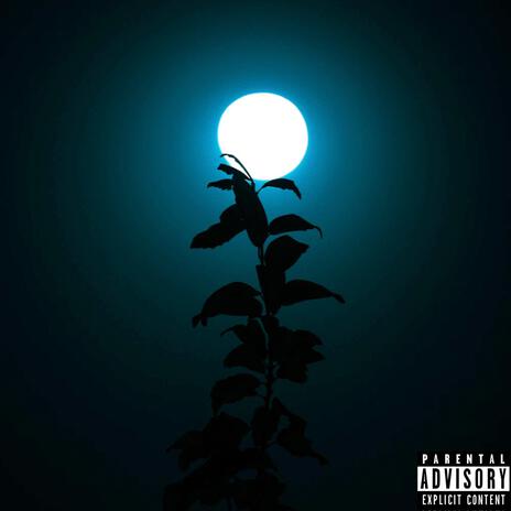 Forever moonlight | Boomplay Music