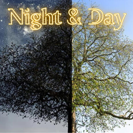 Night & Day | Boomplay Music