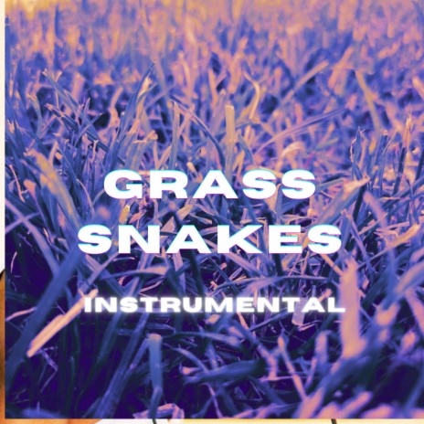 GRASS SNAKES (INSTRUMENTAL) | Boomplay Music