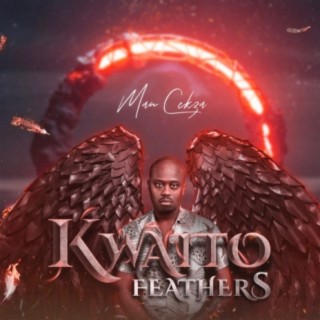Kwaito Feathers
