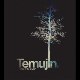 Temujin