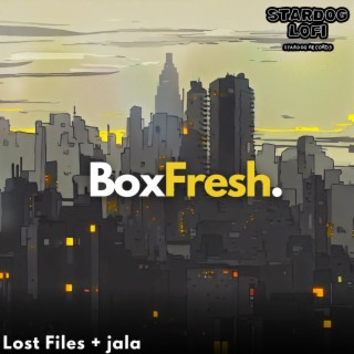 BoxFresh