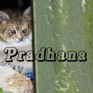 Pradhana
