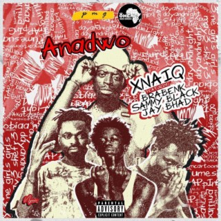Anadwo (feat. Braabenk,Jay Bahd & Sammy Black)