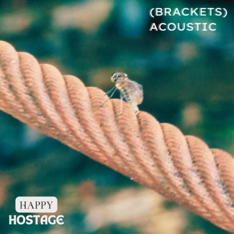 (Brackets) (Acoustic version) | Boomplay Music