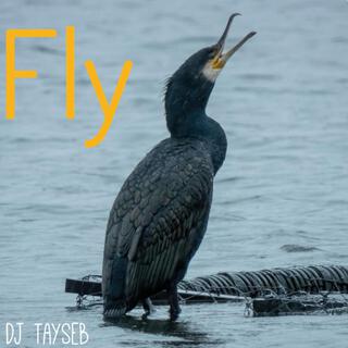 Fly (Dj Edit)