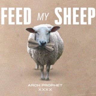 Feed My Sheep