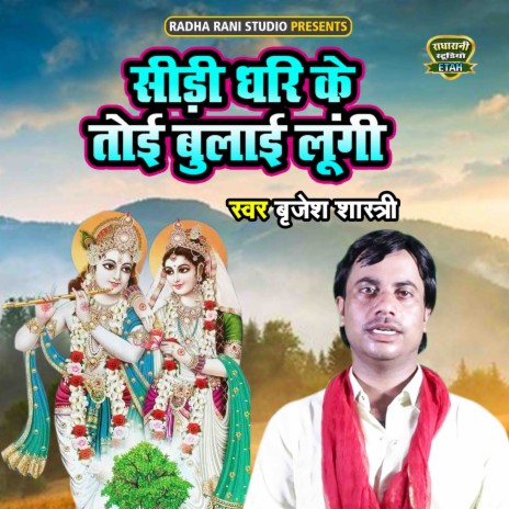 Seedhi Dhari Ke Toyi Bulayi Lungi | Boomplay Music