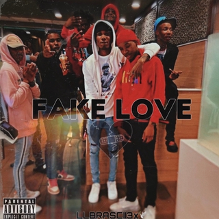 Fake Love