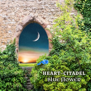 Heart-Citadel