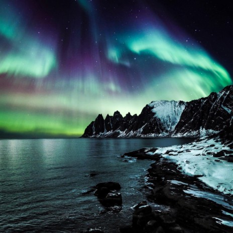 Northern Lights | Boomplay Music