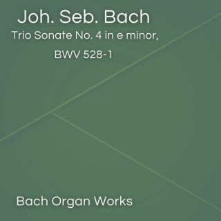Trio Sonate No. 4 in e minor, BWV 528-1 (Johann Sebastian Bach, Epic Organ, Classic)