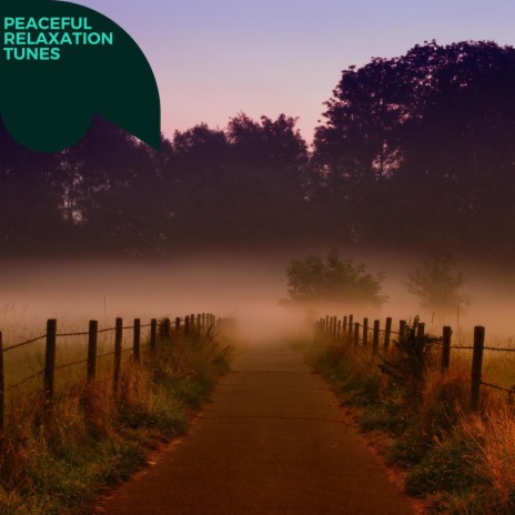 Leisure Spa (Deep Relaxation) | Boomplay Music