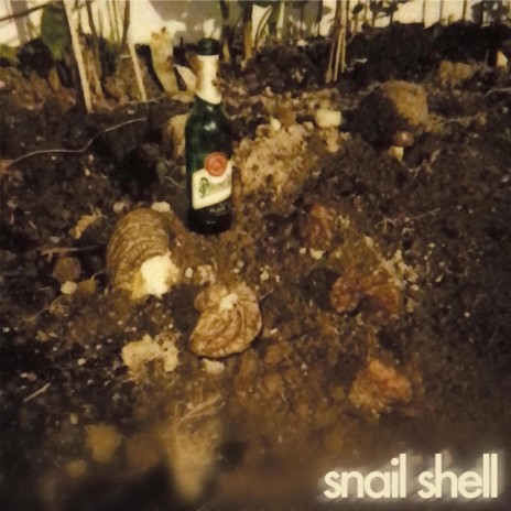 snail shell | Boomplay Music