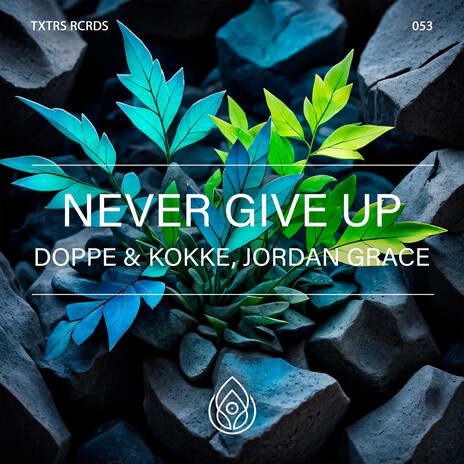 Never Give Up (Extended Mix) ft. Jordan Grace | Boomplay Music