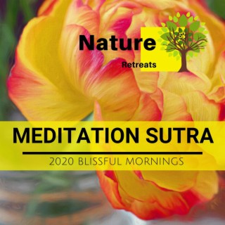 Meditation Sutra - 2020 Blissful Mornings