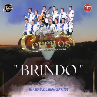 Brindo