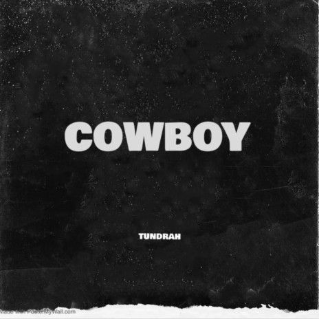 COWBOY | Boomplay Music