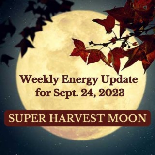 #288 - Weekly Energy Update for Sept. 24, 2023: Super Harvest Moon