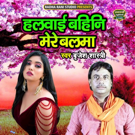 Halwayi Bahini Mere Balma | Boomplay Music