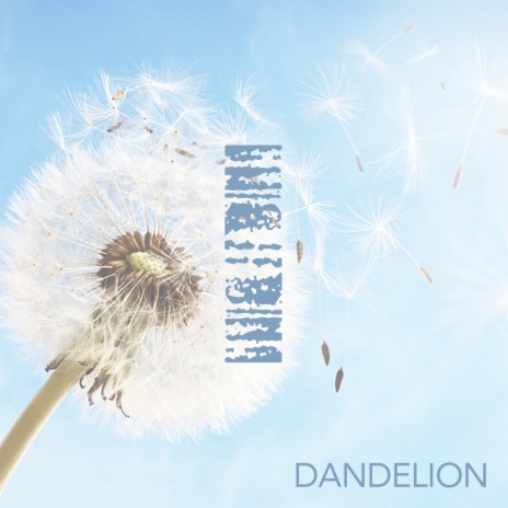 Dandelion | Boomplay Music