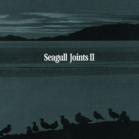 seagull joints II outro | Boomplay Music