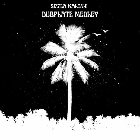 Dubplate Medley | Boomplay Music