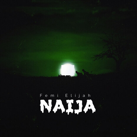 Naija | Boomplay Music