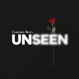 Unseen lyrics | Boomplay Music