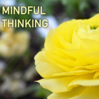 Mindful Thinking