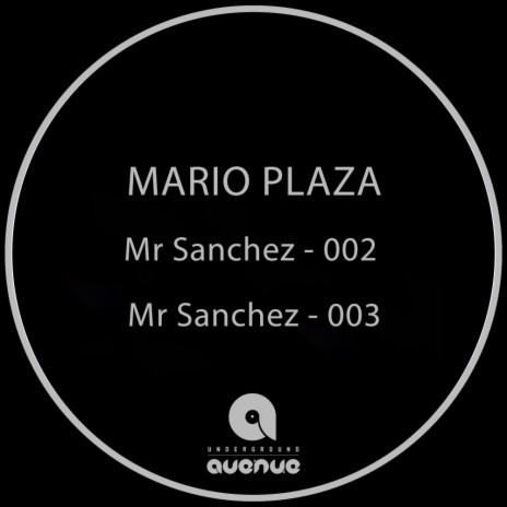 Mr Sanchez: 002 (Original Mix)