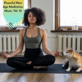 Peaceful New Age Meditation Music, Vol. 10