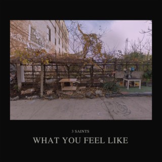 What You Feel Like lyrics | Boomplay Music