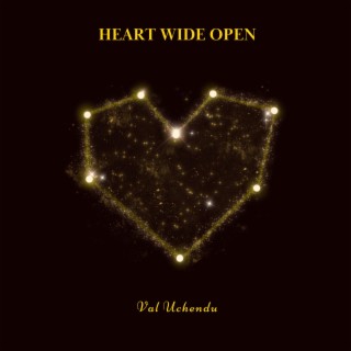 Heart Wide Open (Electro Pop) lyrics | Boomplay Music