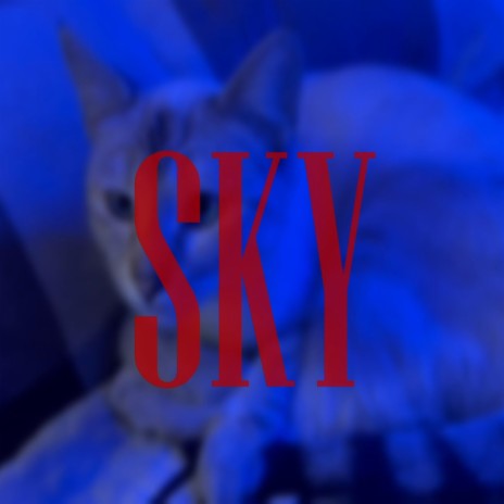 SKY | Boomplay Music