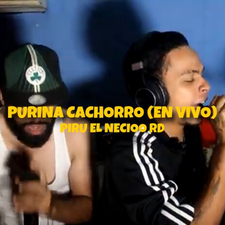 Purina Cachorro (En Vivo) | Boomplay Music