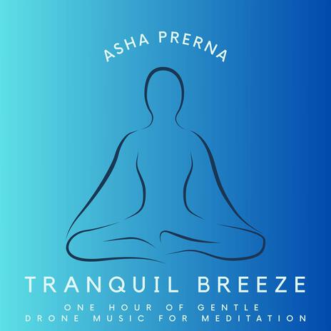 Tranquil Breeze - One Hour of Gentle Drone Music for Meditation | Boomplay Music