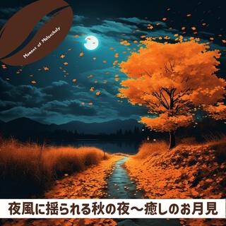 夜風に揺られる秋の夜〜癒しのお月見