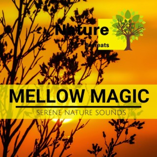 Mellow Magic - Serene Nature Sounds