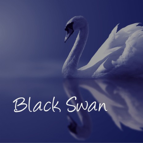 Black Swan | Boomplay Music