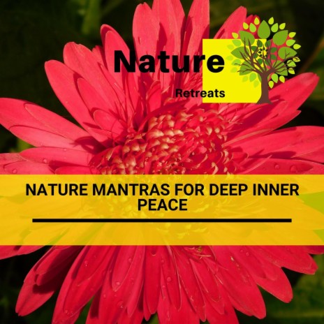 The Healing Mantra ft. Meditation Atmospheres