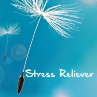 Stress Reliever: Stress Management Music