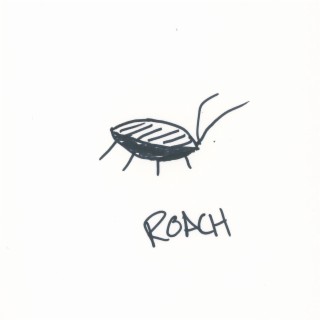 ROACH lyrics | Boomplay Music