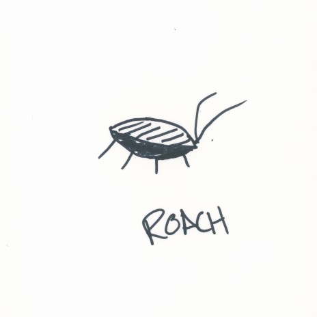 ROACH | Boomplay Music