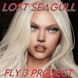 Lost Seagull